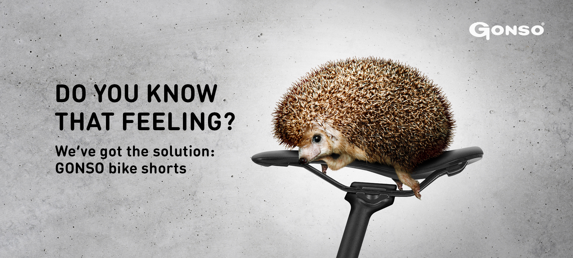 Tier, Igel, Säugetier