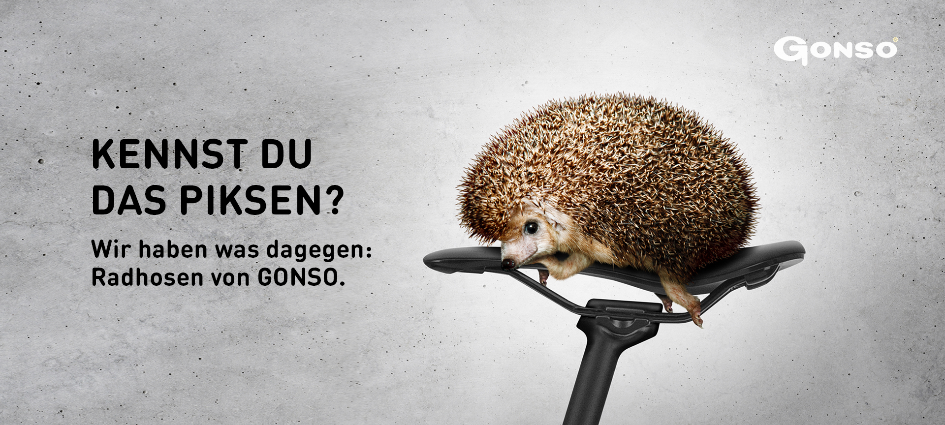 slider-igel-1920px Tier, Igel, Säugetier