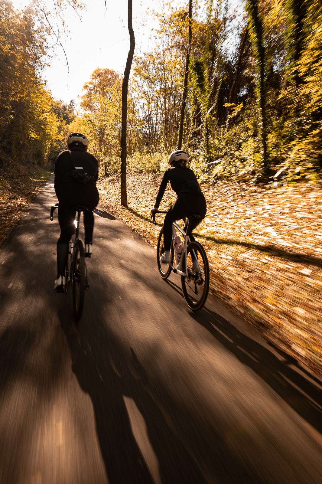 SP3_5870 Rennräder, Fahrradhelme, Radbekleidung, Schwarze Kleidung, Herbstwald
